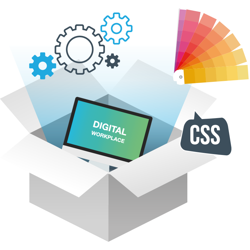 Standard vs. Customizing - Customizing